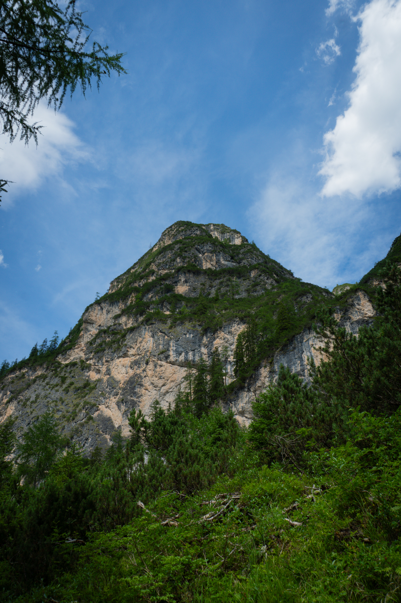 Foto 62